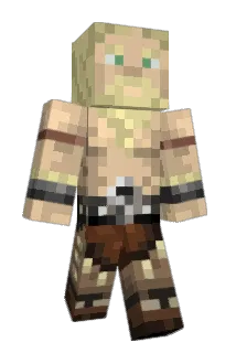 Aedroes Minecraft avatar full body
