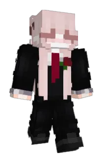 Aein_ Minecraft avatar full body