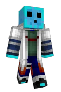 Aelerus Minecraft avatar full body