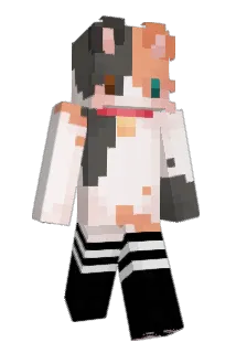 Aeom Minecraft avatar full body