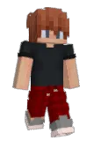 AerhVL Minecraft avatar full body