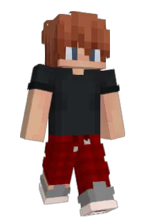 AerhVL Minecraft avatar full body