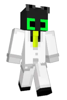 Aerlem Minecraft avatar full body