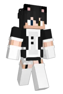 Aerveau Minecraft avatar full body