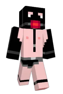 Aesayne Minecraft avatar full body