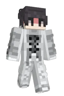 AetherialNinja Minecraft avatar full body