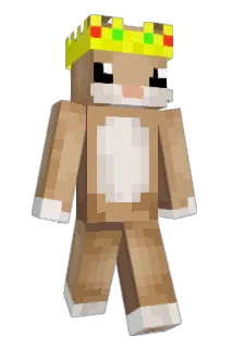 Aetym Minecraft avatar full body