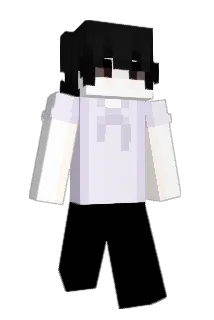 Afford Minecraft avatar full body