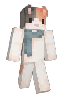 After_XD Minecraft avatar full body