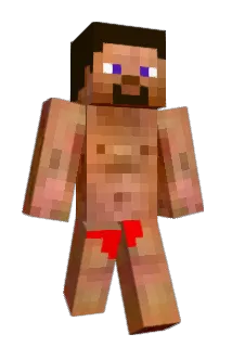 AgentDox Minecraft avatar full body