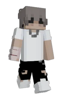 AgentTNK Minecraft avatar full body