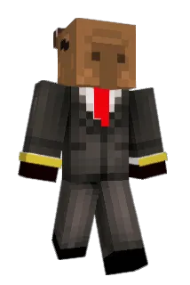 Aggouriss Minecraft avatar full body