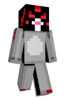 AgreeingBrush81 Minecraft avatar full body