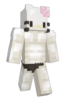 AguwusS Minecraft avatar full body