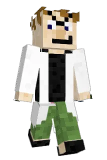 AiG00 Minecraft avatar full body