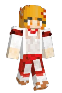 Aicomus Minecraft avatar full body