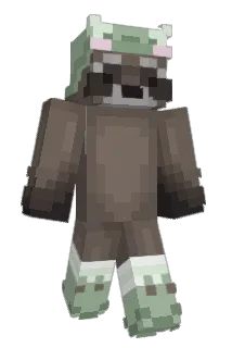 Aidaannnn Minecraft avatar full body
