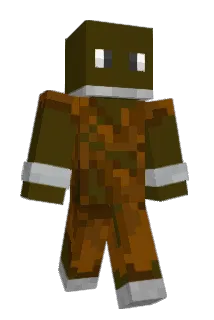 Aidanr17 Minecraft avatar full body