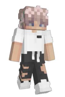 AidenHL Minecraft avatar full body