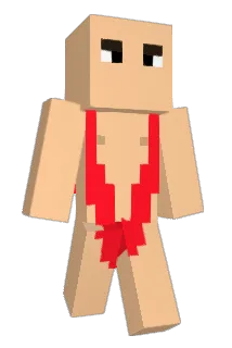 Aidi3101 Minecraft avatar full body
