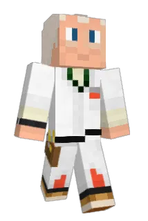 Aids11 Minecraft avatar full body