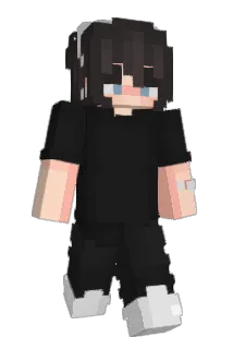 Aiidenly Minecraft avatar full body