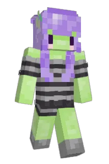 AimHighKiwi Minecraft avatar full body