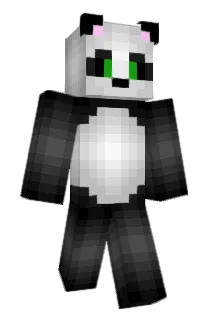 AimeeRR Minecraft avatar full body