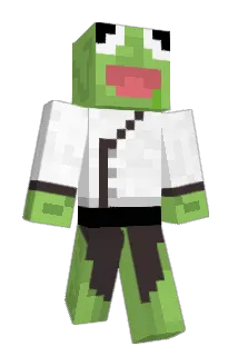 AimlessRobin Minecraft avatar full body
