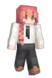 Air639 Minecraft avatar full body