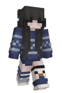 Airlane Minecraft avatar full body