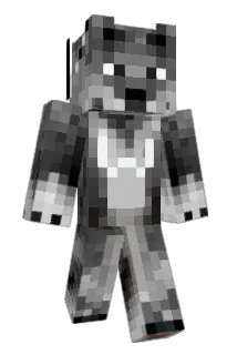 AjMD738 Minecraft avatar full body