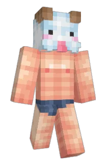 Ajborn01 Minecraft avatar full body