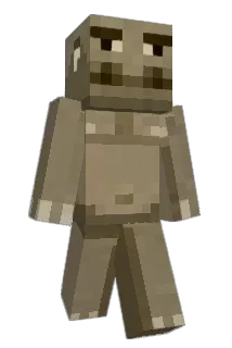 Ajeregnome Minecraft avatar full body