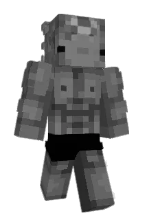 Ajienor Minecraft avatar full body
