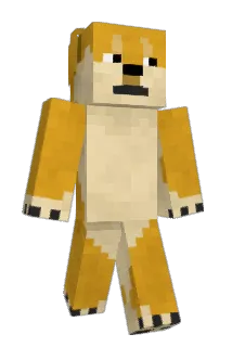 Ajora_ Minecraft avatar full body