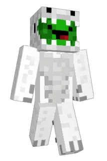 AkaJochem Minecraft avatar full body