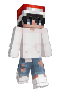 Akahneo Minecraft avatar full body