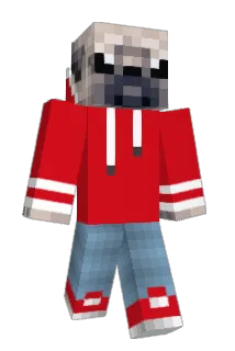 Akalife Minecraft avatar full body