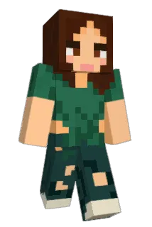 Akareena Minecraft avatar full body