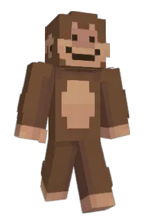 Akaronix Minecraft avatar full body