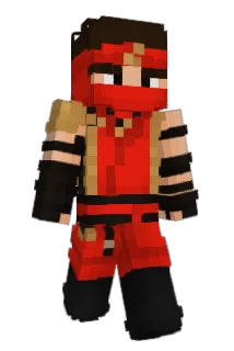 Akdninja Minecraft avatar full body