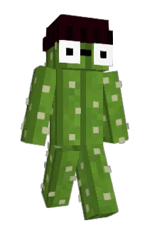 Akernix Minecraft avatar full body