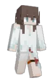 Akii_14x Minecraft avatar full body