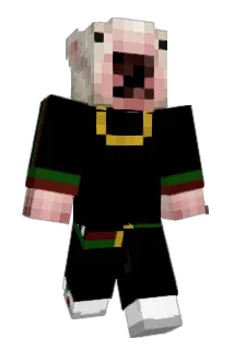 Akisa00 Minecraft avatar full body