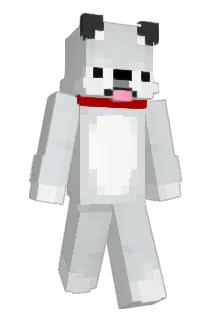 Akker Minecraft avatar full body