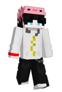 Akosas Minecraft avatar full body