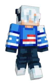 Akskmsks Minecraft avatar full body
