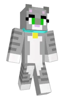 Aksoggg Minecraft avatar full body
