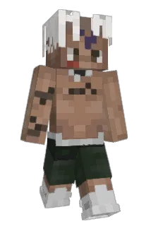 Akumatic Minecraft avatar full body